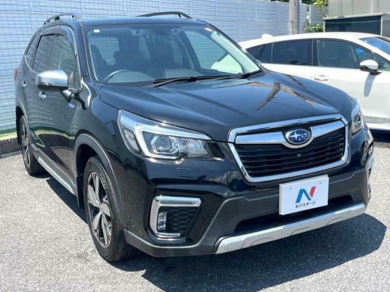 FORESTER