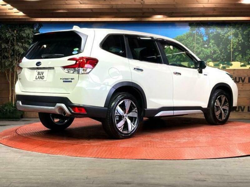 FORESTER