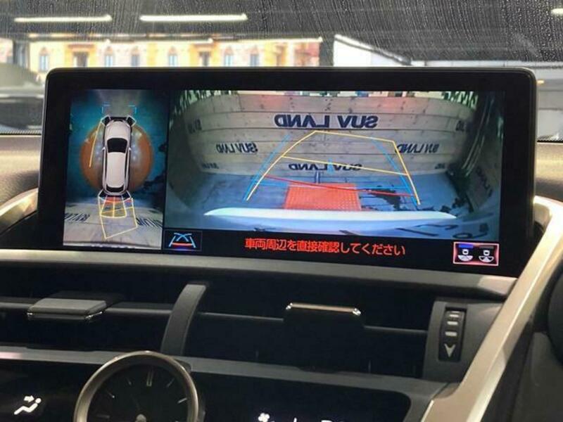 NX