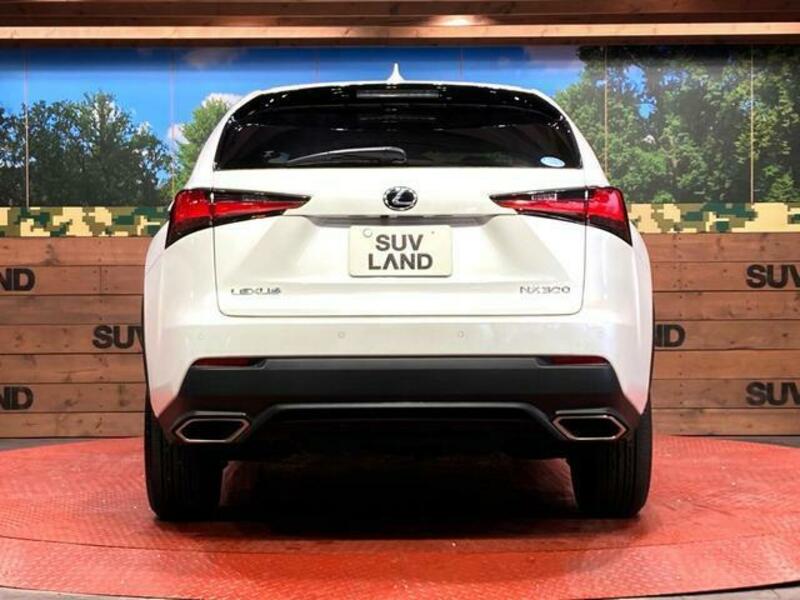 NX