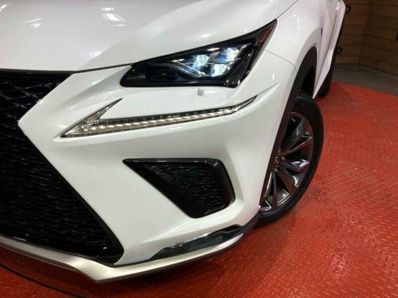 NX