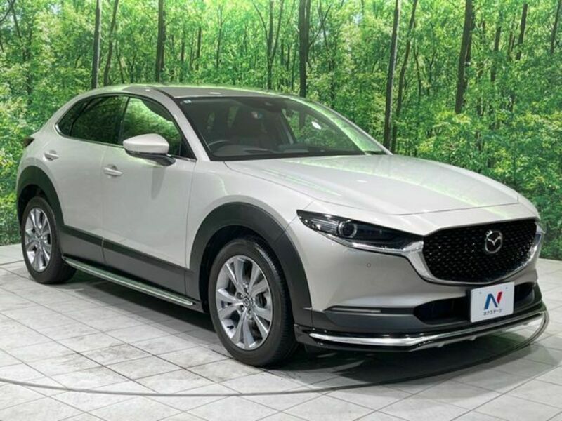CX-30