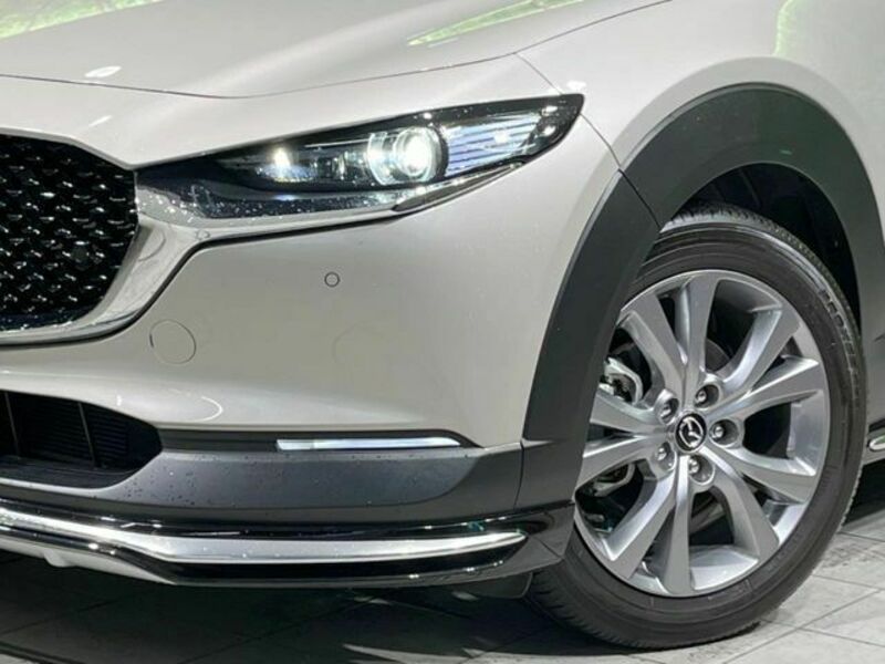CX-30