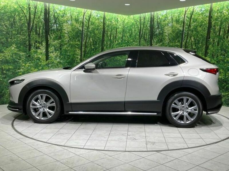 CX-30