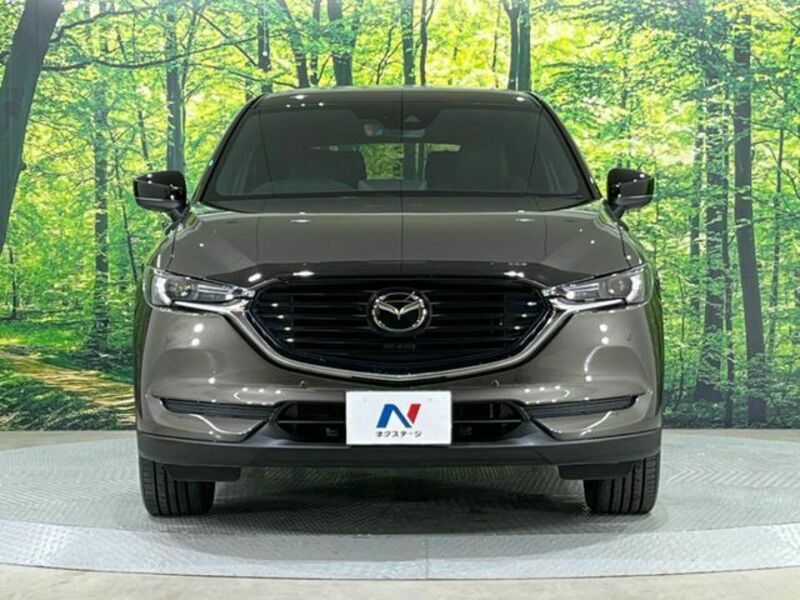 CX-8
