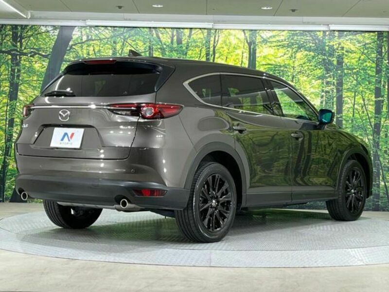 CX-8