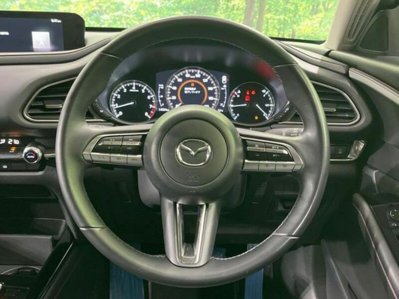 CX-30