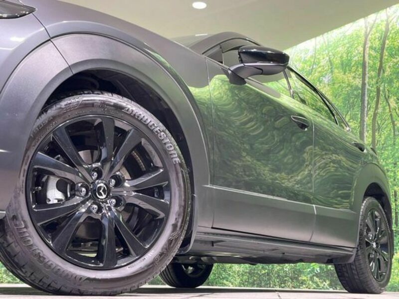 CX-30
