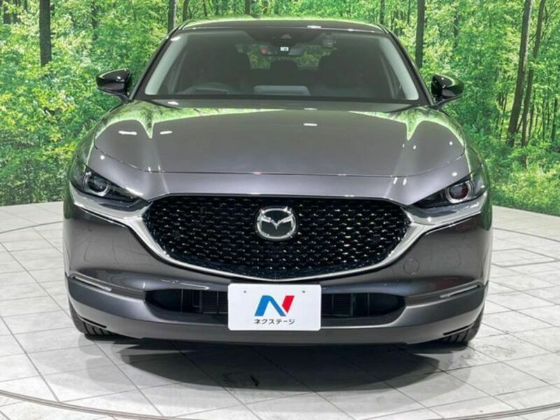 CX-30