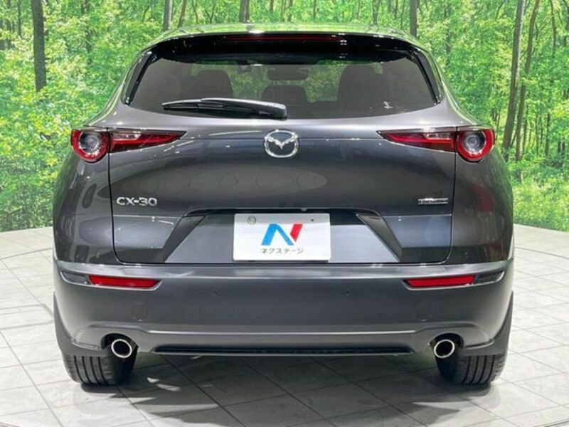 CX-30