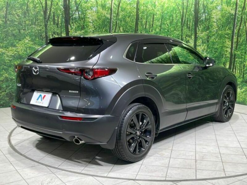 CX-30