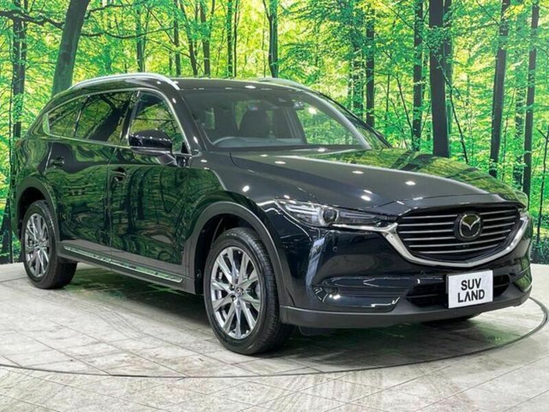 CX-8