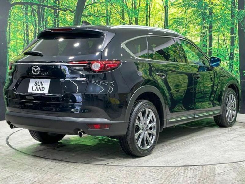 CX-8