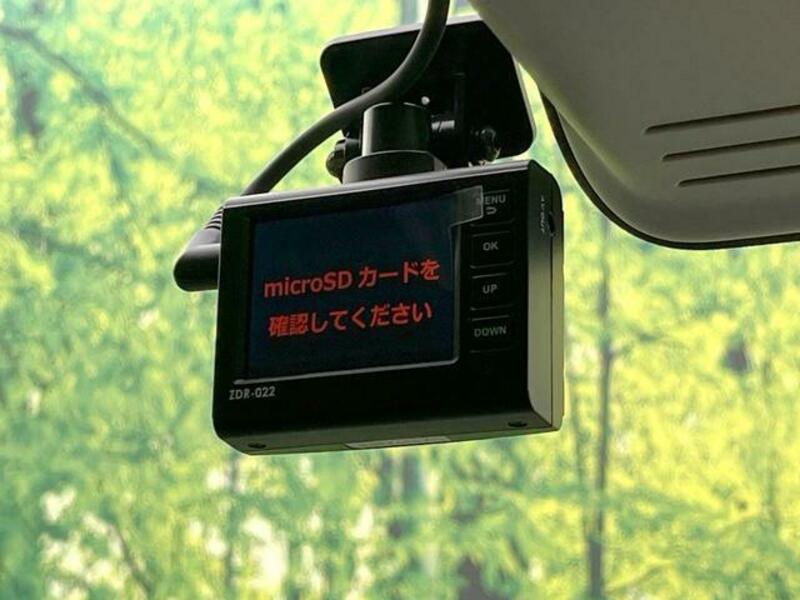 DAYZ ROOX