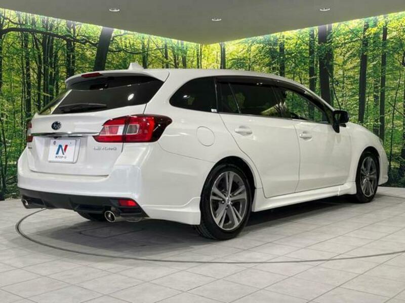 LEVORG