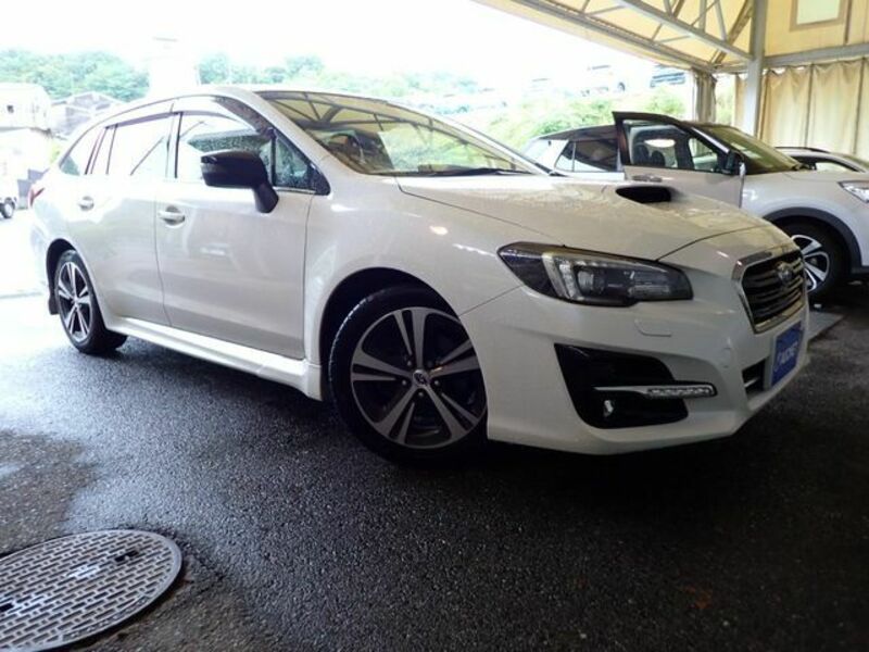 LEVORG-0