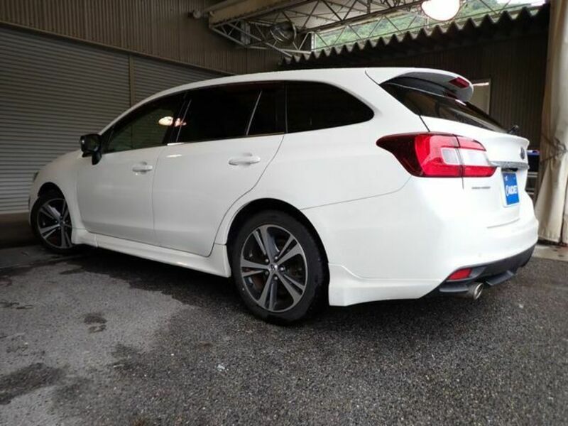 LEVORG