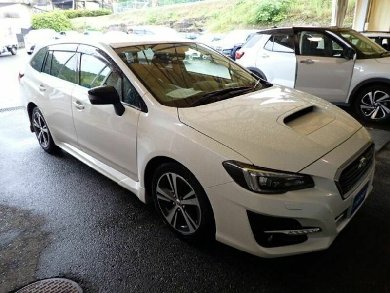 LEVORG