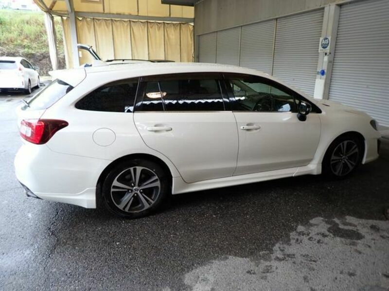 LEVORG