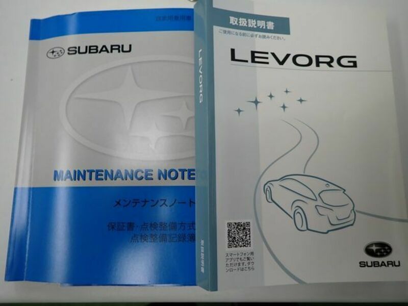 LEVORG