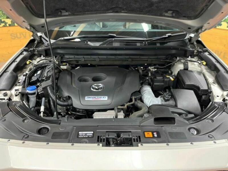 CX-8