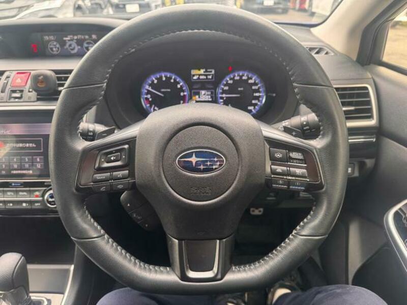 LEVORG