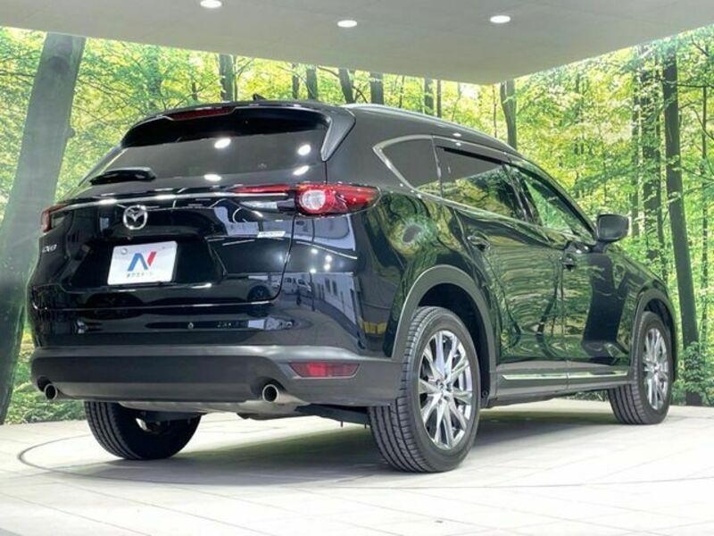 CX-8