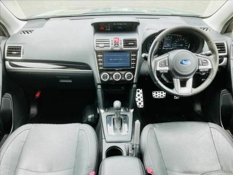 FORESTER