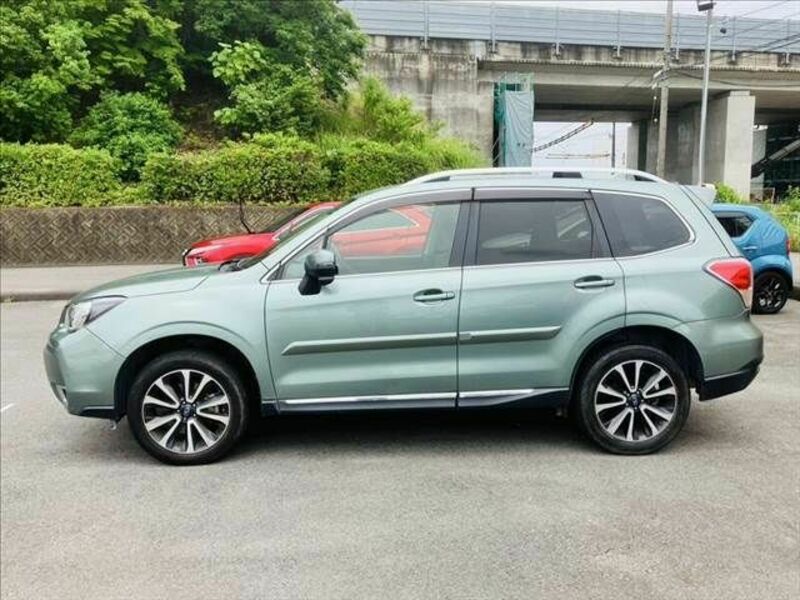 FORESTER