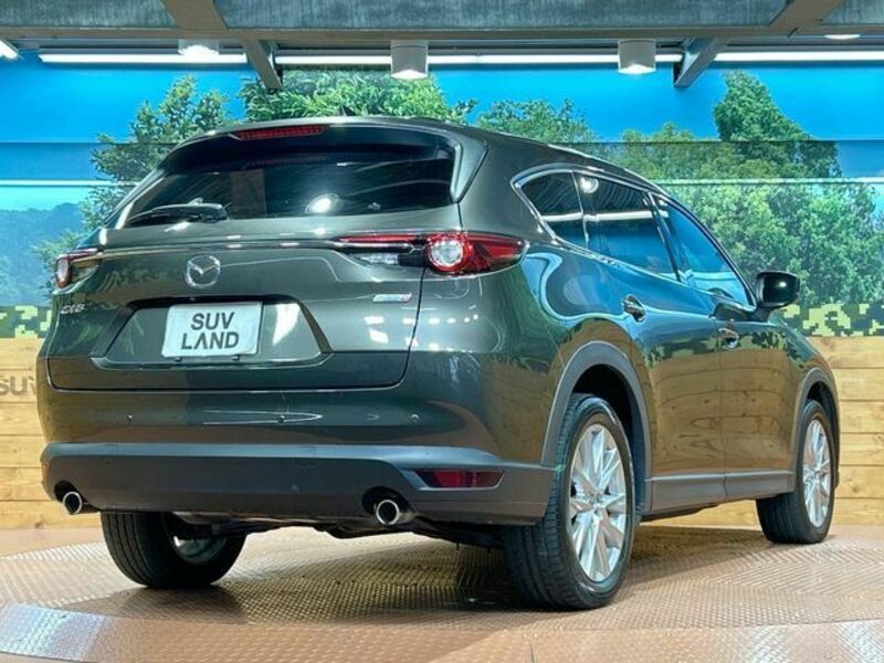 CX-8