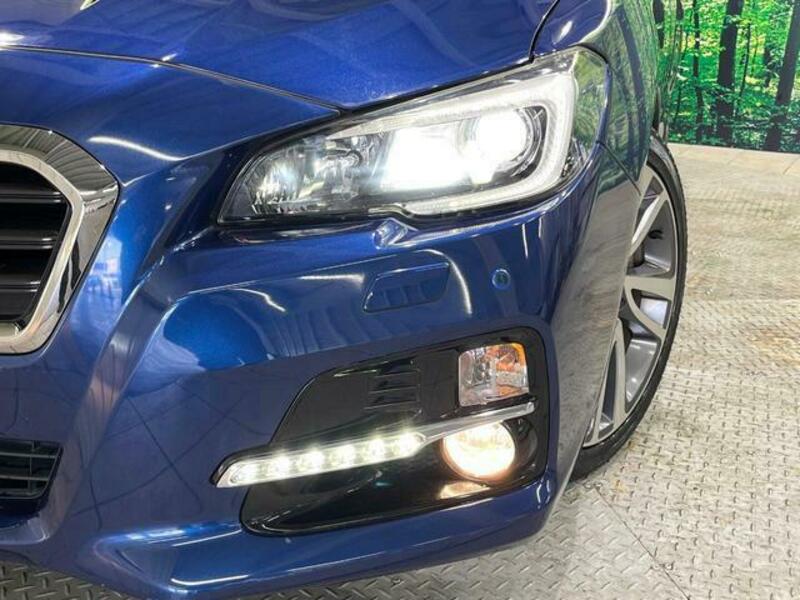 LEVORG