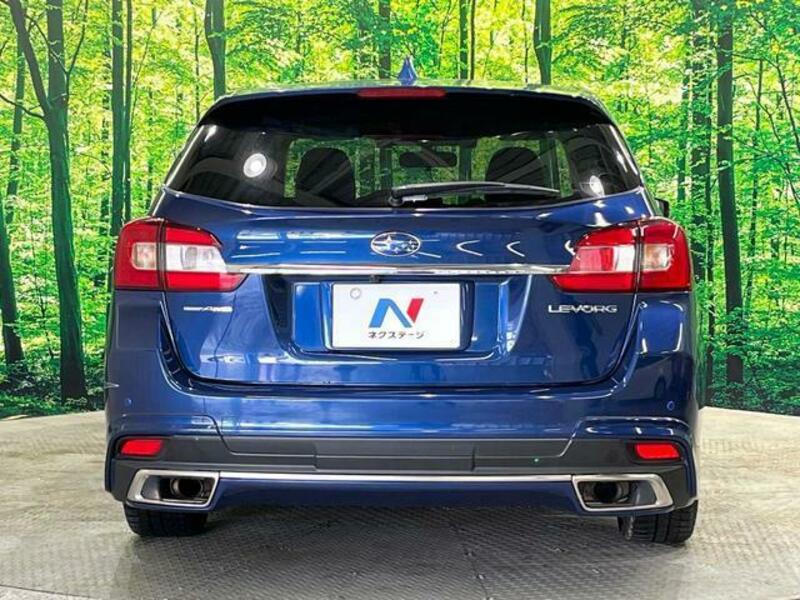 LEVORG