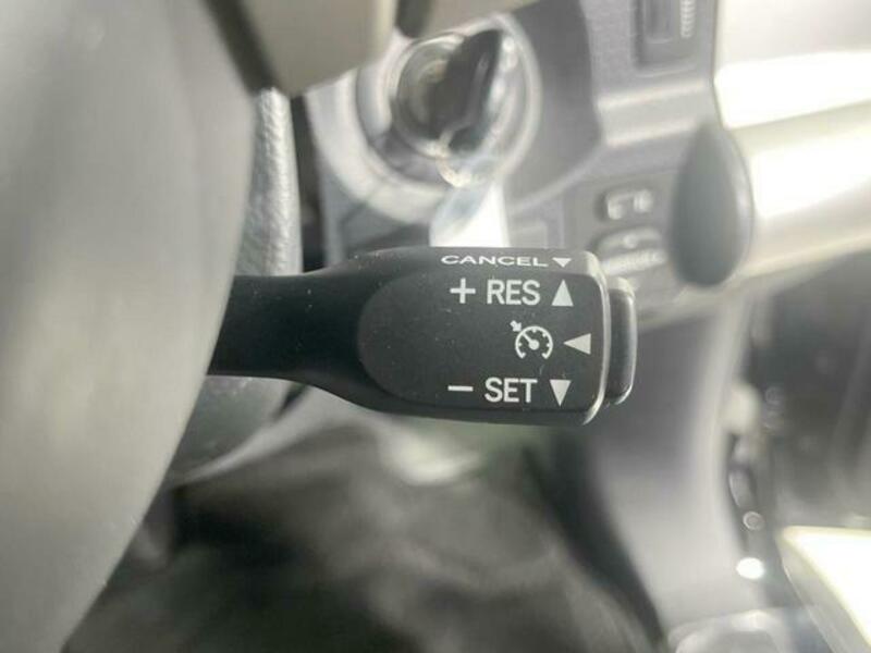 FJ CRUISER