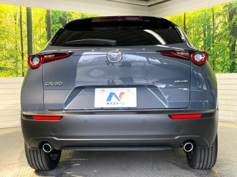 CX-30