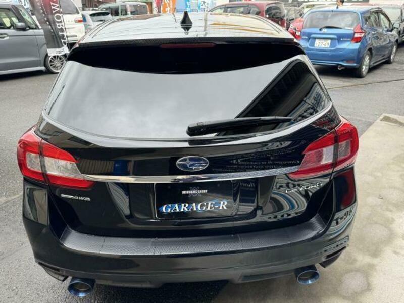 LEVORG