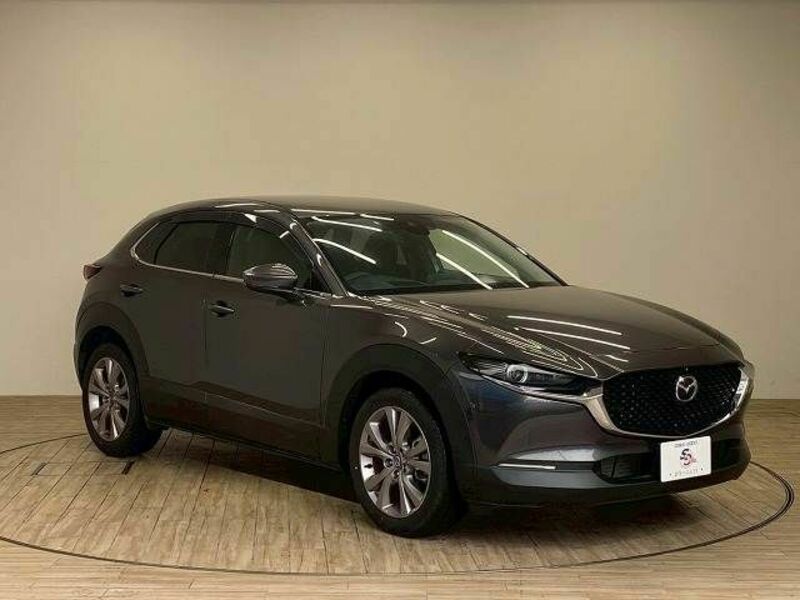 CX-30