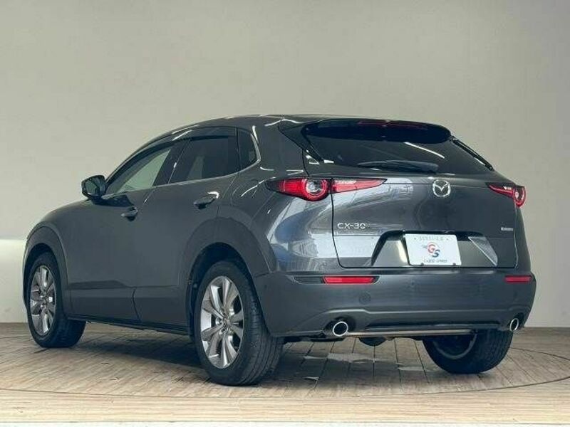 CX-30