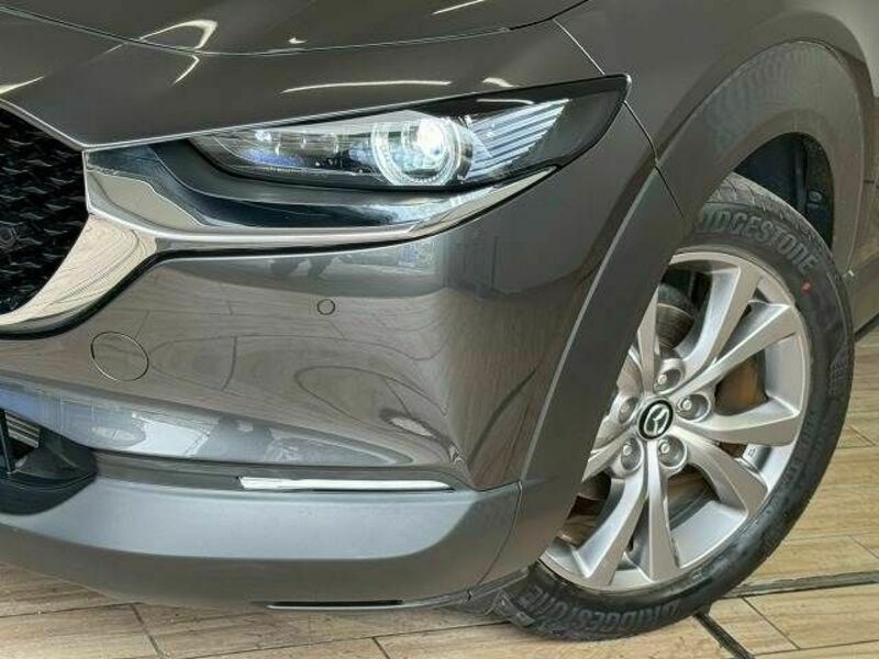 CX-30