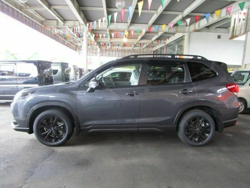 FORESTER