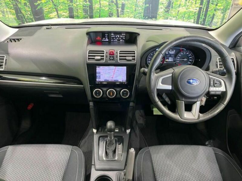 FORESTER