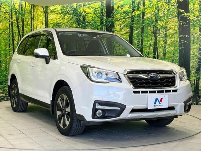 FORESTER