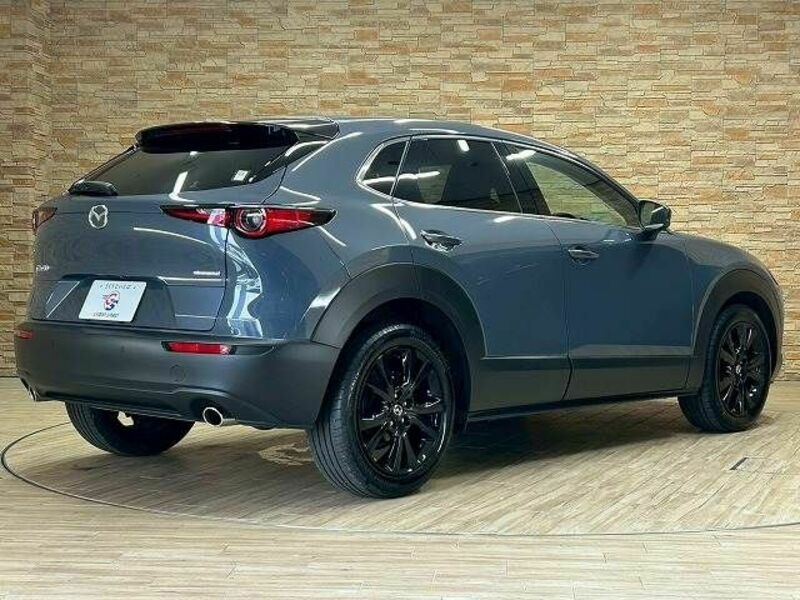 CX-30