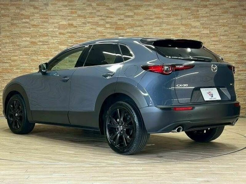CX-30