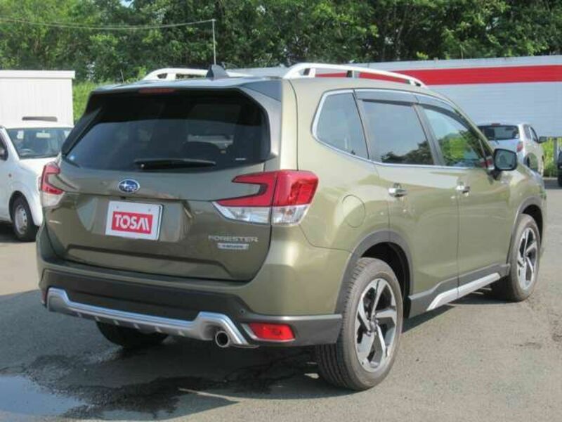 FORESTER