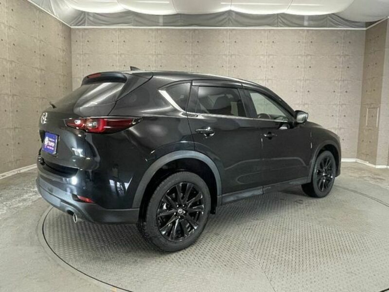CX-5-3
