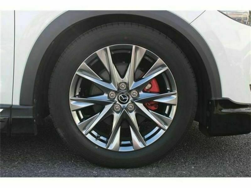 CX-8