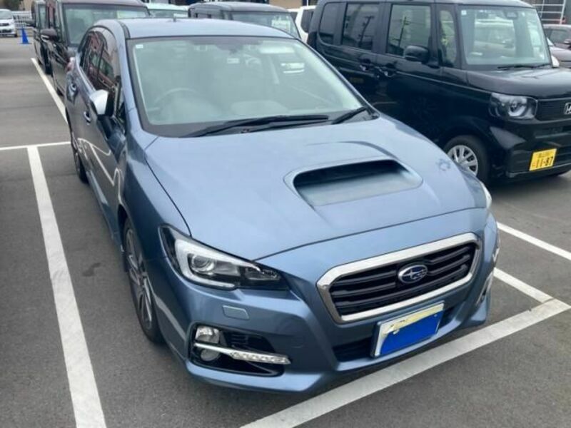 LEVORG