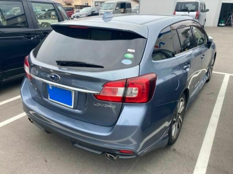 LEVORG