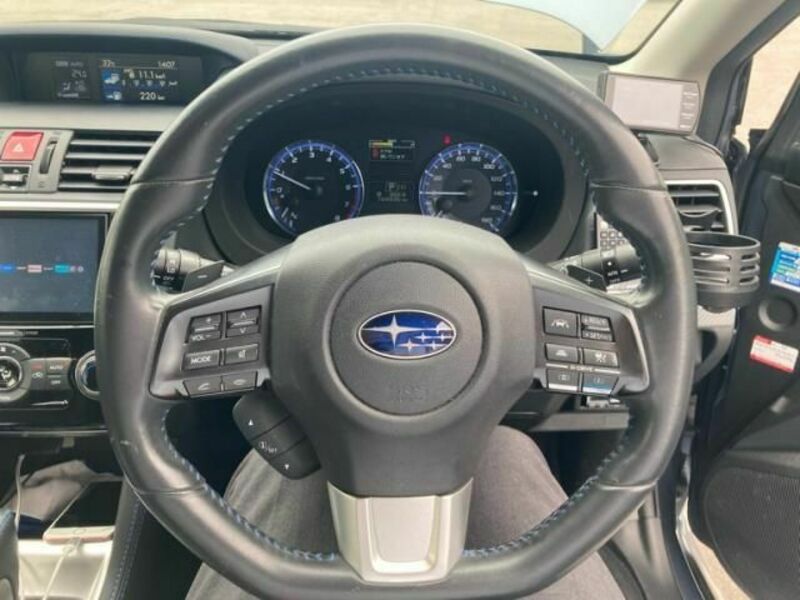 LEVORG