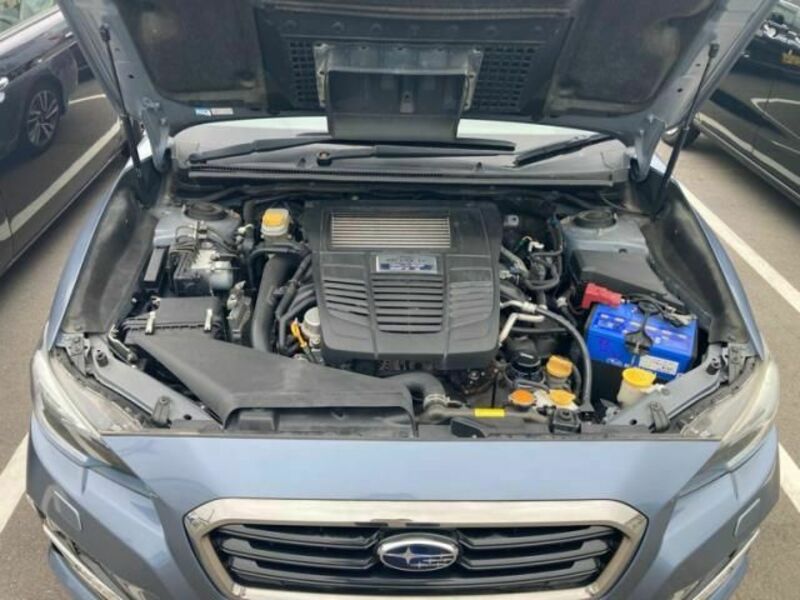 LEVORG